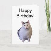 Mème de chat Hat de carte plié (Devant)