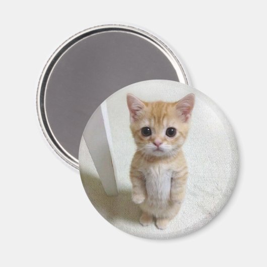 Mème de chat Magnet El Gato (Recto/Verso)