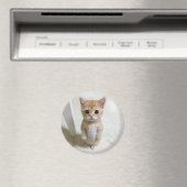 Mème de chat Magnet El Gato (In Situ (Lave-vaisselle))