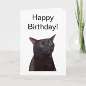 Mème de chat Zoned Out de carte pliée (Devant)