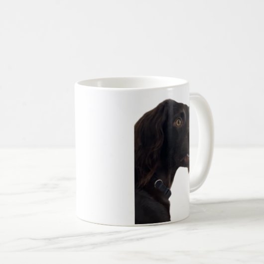 Mème de chien confuse Mug double face (Devant droit)