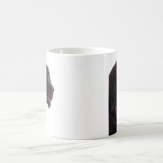 Mème de chien confuse Mug double face (Centre)