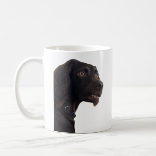 Mème de chien confuse Mug double face (Gauche)