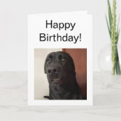 Mème de chien effrayé de carte pliée (Devant)