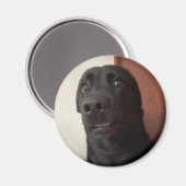 Mème de chien effrayé Magnet (Recto/Verso)