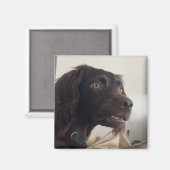 Mème de chien maladroit Magnet (Recto/Verso)