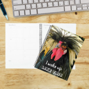 Mème de poulet aux cheveux mauvais drôle