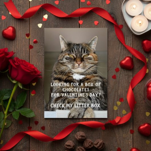 Mème drôle de chat pour la Saint-Valentin Anti-Sai