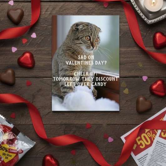 Mème drôle de chat pour la Saint-Valentin solo