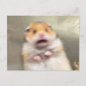 Mème du hamster effrayé sur carte postale (Devant)