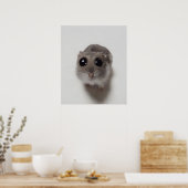 meme, hamster, hamster meme, droevige hamster, gra poster (Keuken)