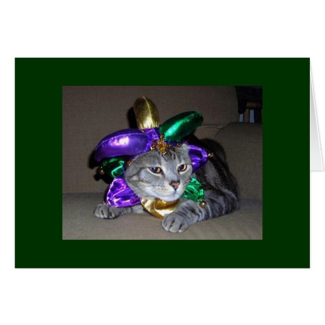 MÊME LE CHAT CÉLÉBRE POUR "VOUS" ÊTES "5O" (Devant horizontal)