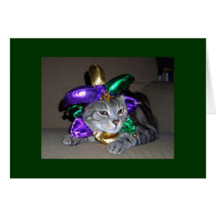 MÊME LE CHAT FÊTE POUR "VOUS" ÊTES "5O"