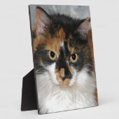 MeMeow Fotoplaat (Zijkant)