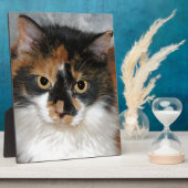 MeMeow Fotoplaat (Zijkant)