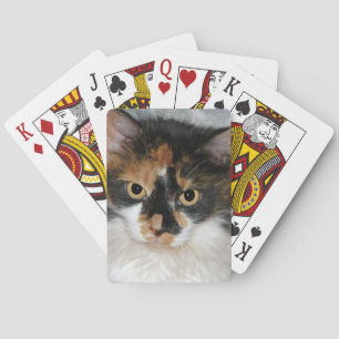 MeMeow Speelkaarten