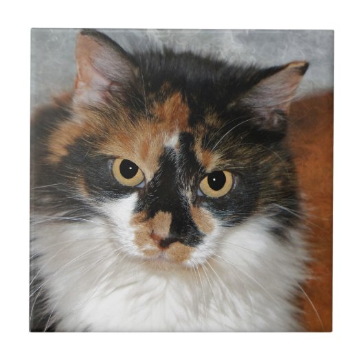 MeMeow Tegeltje (Voorkant)