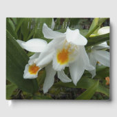 Mémoire d'amour Mémorial aux orchidées blanches (Recto)