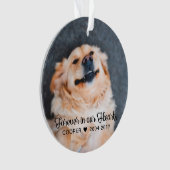 Mémoire de l'animal de compagnie | Condoléances | (devant)