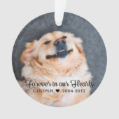 Mémoire de l'animal de compagnie | Condoléances | (devant)