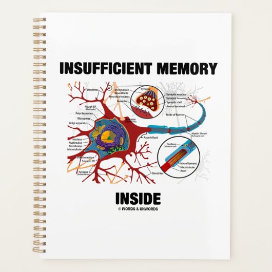 Mémoire insuffisante dans l'Humour Synapse du neur (Devant)