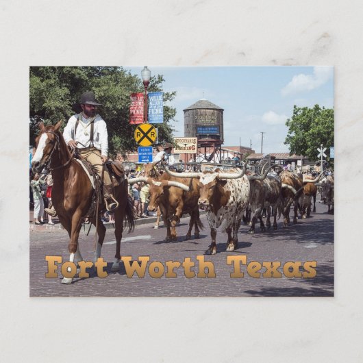 Memorable Fort Worth Texas Cattle Drive Briefkaart (Voorkant)