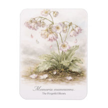 Memoria Evanescens – De Vergeetachtige Bloei Botan