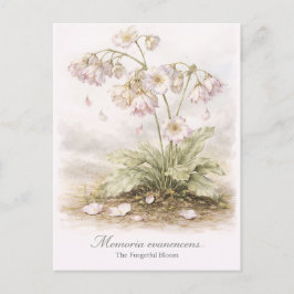 Memoria Evanescens – The Forgetful Bloom Botanical Briefkaart