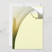 Memorial / Aankondiging (Achterkant)