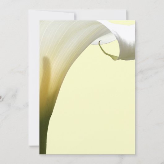 Memorial / Aankondiging (Achterkant)