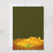 Memorial/Aankondiging Aankondiging (Achterkant)