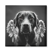Memorial Angel Hond Labrador