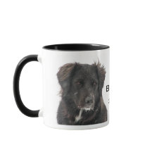 Memorial Black Lab Pet Dog