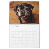 Memorial Calendar Kalender (Mar 2027)