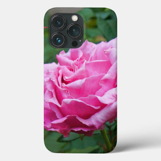 Memorial Day Rose #2 iPhone 13 Pro Coque (Verso)