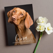 Mémorial de la carte Pet Sympathy Card
