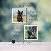 Mémorial de l'animal disparu au-delà de la mesure (Neutre)