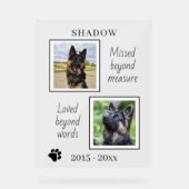 Mémorial de l'animal disparu au-delà de la mesure (Recto)