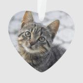 Memorial FOREVER DANS NOS COEURS Photo de chat (dos)