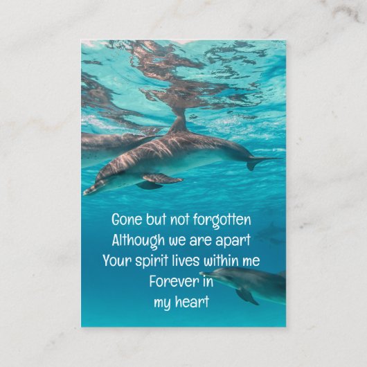 Memorial Keepomwille Dolphins Underwater Ocean Visitekaartje (Achterkant)