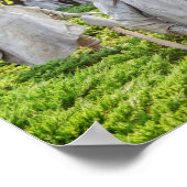 Memorial over oorlogsveteranen poster (Hoek)