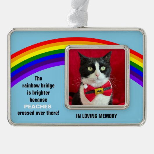Memorial Pet Cat Christmas Rainbow Bridge Ornament (Voorkant)