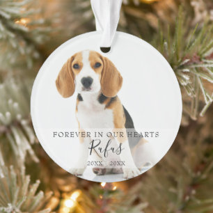 Mémorial Photo de Noël Chien Chat