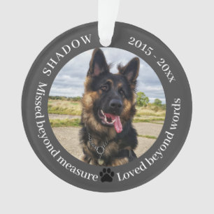 Mémorial photo pour animaux de compagnie disparu a
