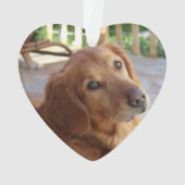 Mémorial pour toujours dans nos coeurs photo de ch (dos)