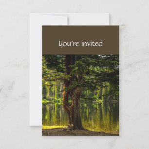 Memorial Service Invite Lake Tree Shore Natuur Kaart