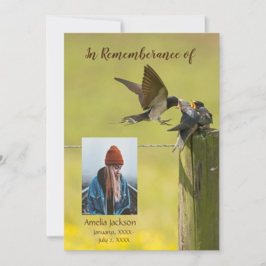 Memorial Service Invite Swallow Bird Watcher Kaart (Voorkant)
