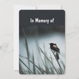 Memorial Service Invite Wetlands Marsh Blackbird Kaart