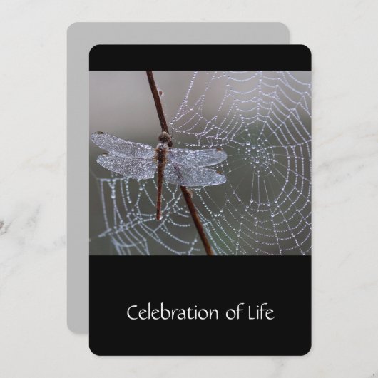 Memorial Service nodigt Dragonfly Dewdrops uit Kaart (Voorkant / Achterkant)