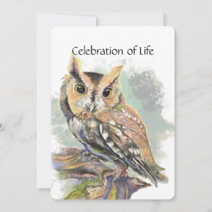 Memorial Service nodigt Screech Owl Bird Animal ui Kaart